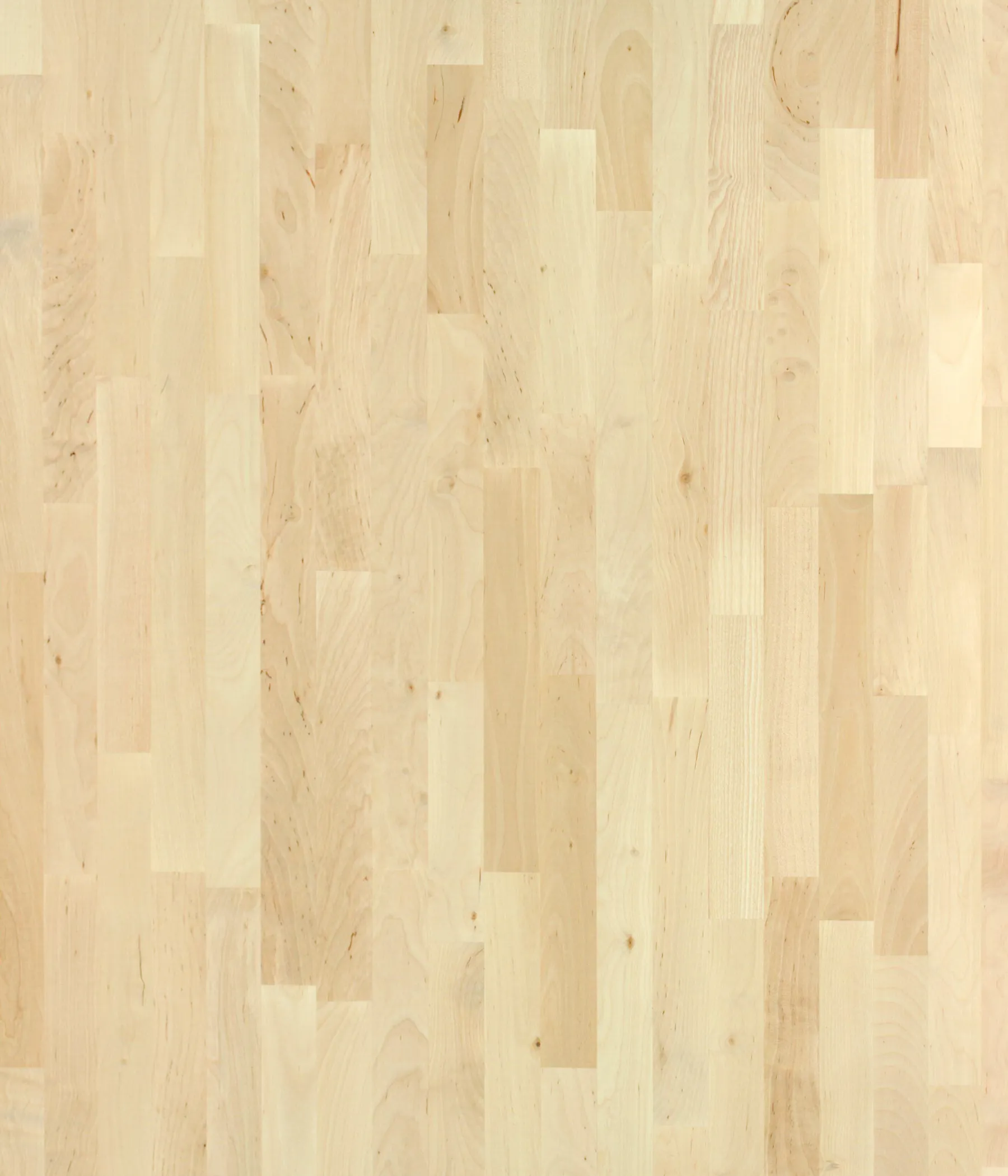 19 mm Birke-Leimholzplatte, A/B