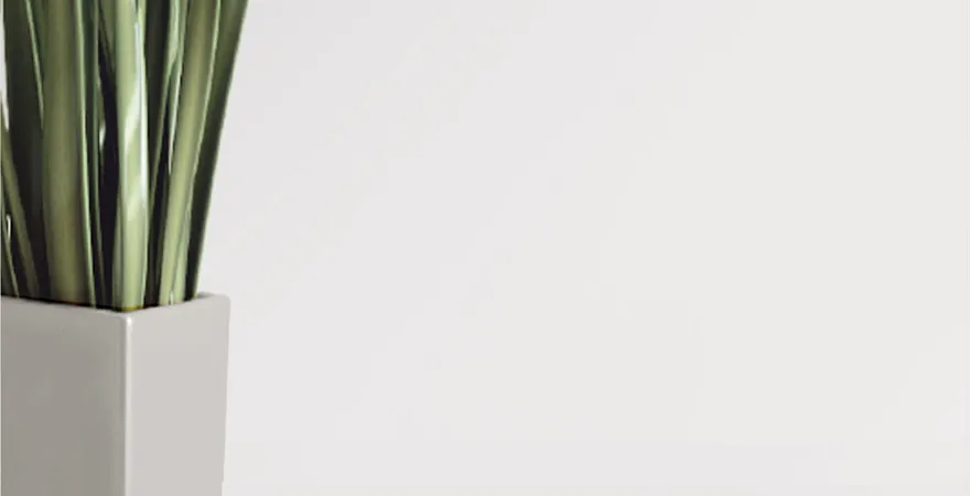 4 mm ESG Verglasung Float hell