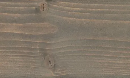 2.5 L Pinus Vergrauungslasur,silbergrau